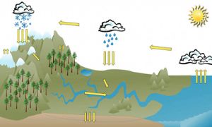 A schematic cross section of California’s landscape and hydrologic cycle.  The landscape includes mountains, forests, rivers, and ocean.  The cycle depicts clouds, rain, snow, evaporation, runoff, and aquifer recharge.